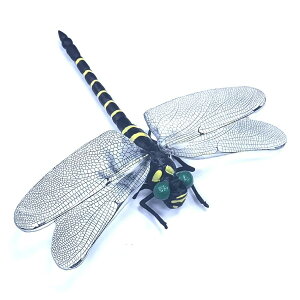 Ij}   12cm Xq St u[` 悯 Ij} XYo`  Ij}