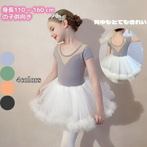 2_Zbg q oG I^[h ێ  LbY ``XJ[g oGpi LbYI^[hoGߑ ̎q ̑ _X K Xe[Wߑ s[X bX XJ[g 