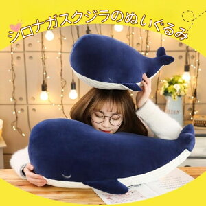 y85cmzʂ  ~ ViKXNW  CeA q    _炩 Sn G ˂ނ   킢 ǂ xr[ aMtg  ӂ