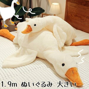 y190cmzʂ K`E O[X   傫  킢 LN^[ ӂӂ   NbV  ǂ xr[ aMtg   _炩 