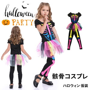 nEB  q RX`[ J[[  XPg  ΂ߑ H ̎q w    RXvߑ Ȃ肫 p[eB[ Cxgp w o S