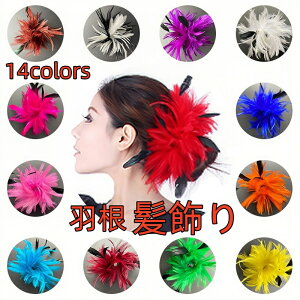  2WAY H  _X hX  t[ fB[X wbhhX wANbv t[`[ wA AW a    a Ǝ ߑ H wAs wA