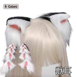 wbhhX B^ [^ P L  SX { [X ߂ wAANZ Ch bl ZNV[ RX`[  fB[X 킢   Cxg p[eB[ 