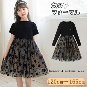 LbY s[X  tH[} `[hX ԕ  q hX \ Ձ@ w Ǝ q w Ǝ s[X@lC̎q ̎q w@̎q t