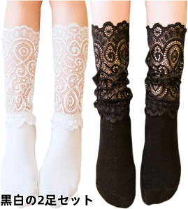 y2Zbgz xr[ LbY C q[X nC\bNX N[\bNX ̎q \bNX tH[}p w C@\  Ǝ w  2Zbg  nC