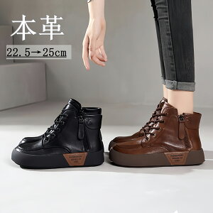 {v u[c U[@JWAu[c V[Y C fB[X Wbp[ u[c [XAbv u[c v  ҂ݏグu[c _炩  ₷ ~ fB[X ₷ R