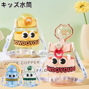  LbY [vt V[X  500ml w X|[chNΉ vX`bN VR LbY LbY q ǂ 킢 j y 킢 c  