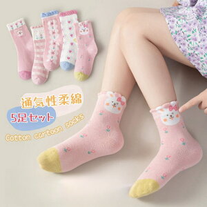 q C C 5Zbg \bNX LbY ̎q xr[ w11`23cm q Mtg j qǂ ǂ C ʉ ʊw C V[g 5Zbg \bNX LbY ̎q xr[ ۈ牀 