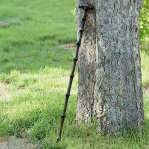 |T^ yʏ |XebL  ̓Mtg oRpXebL  Elb?| T^i|dグjboRE蕨ɂœK AEghApi oRXgbN