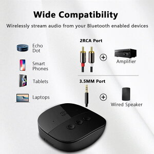 Bluetooth 5.2 I[fBIV[o[ NFC U fBXN TF J[h 2 RCA 3.5 ~[g AUX WbNXeIyCXA_v^}CNԂ̃Xs[J[Av