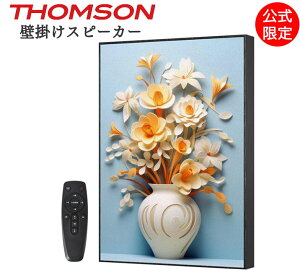 THOMSON Ǌ|Xs[J[ 4*10W Bluetooth5.0 6000mAh obet cC[^[*2 E[t@[*2 Ǐ TWS@\ QY-BG002