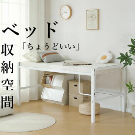ロフトベッド パイプベッド シングルベッド ロータイプ 省スペース 収納 北欧風 大人 一人暮らし スチール 耐震 ベッド 高さ調整可能 長