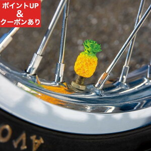 yXs[hoׁzpCibv GAouXeLbv 2Zbg ^CouLbv JX^p[c  oCN ] hXAbv AJG K[WX^C ANZT[ 