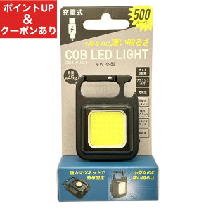 yXs[hoׁzLEDCg [d ^ y COBCg Ɠ hЃObY AEghA Lv p Ɩ }Olbgt tbN 𔲂@\t RITEX @\ 6W 邢 |PbgCg R