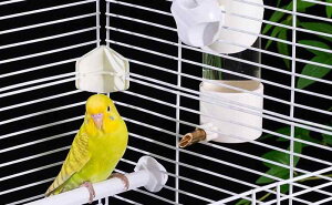 ybgpi    킢  CR IE  E    EH[^[ fBXyT[   H @