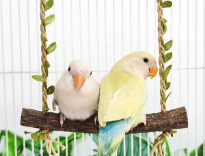 ybgpi    킢  CR IE  E  ܌ ؐ uR [v ? Vv t