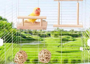 ybgpi    킢  CR IE  E   Vv ؐ ~܂ {[ ? uR