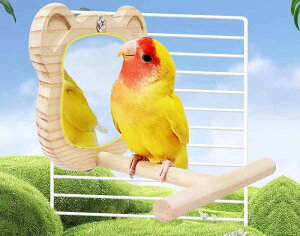 ybgpi    킢  CR IE  E   ~[ X^h Vv ~܂ ؐ N}