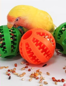 ybgpi    킢  CR IE  E  a Vv t[h  {[  m Vv