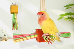 ybgpi    킢  CR IE  E  S XeBbN  Vv ؐ ~܂ m Jt ]