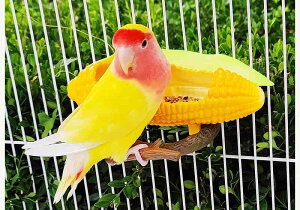 ybgpi    킢  CR IE  E  t[c t[h {E a   Vv ʕ  IW J{`  UN gER