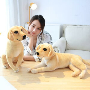 NbV  ӂӂ j̎q ̎q CeA  ʂ l` 킢 xr[ Ԃ q v[g  a Mtg NX}X 蕨 oYj S[f