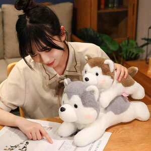 NbV  ӂӂ j̎q ̎q CeA  ʂ l` 킢 xr[ Ԃ q v[g  a Mtg NX}X 蕨 oYj nXL[  y