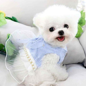 hbOEFA t H ybg  L  U 킢  ߑ p[ ^ XJ[g [X t { MK`FbN by CXg