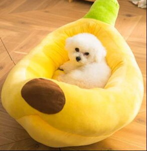  L ybg xbh Q 킢  }bg oii O 􂦂 \ ^ ^ ~ g oii {[g t[c  pfB[ uPbg ѕz 