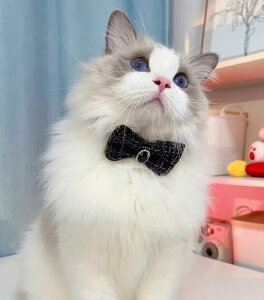   L ybg ObY 킢    lN^C CXg[ LL p vZX \ obN S `FbN cC[h {