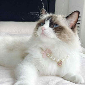   L ybg ObY 킢    p[ lbNX GKg ANZT[ WG[ n[g { `F[