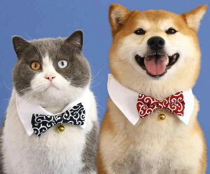   L ybg ObY 킢    x lN^C  S a a {  a