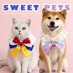   L ybg ObY 킢    ybg [X  { [X vZX a o[Xf[ p[eB[ Jt pXeJ[