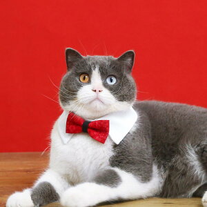   L ybg ObY 킢    lN^C { a  Vv ԕ  \