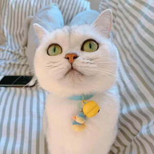   L ybg ObY 킢    Aq TCg x  obN S Vv `[