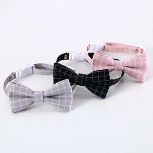   L ybg ObY 킢    p `FbN ߉\ lN^C S obN ANZT[ { Vv  a