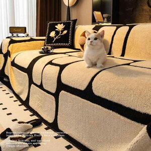 t H~ ؍ \t@ Jo[ CX 킢  CeA  ܌ h~ Vv S k uPbg [u 璹iq