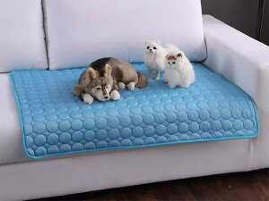  L ybg xbh Q 킢  \t@ NbV p }bg ACX  ⊴ Ђ   h~ V[g Vv