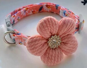   L ybg ObY 킢     jbg CXg[ vZX LL Vv  x obN S