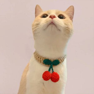   L ybg ObY 킢    jbg Vv  `F[