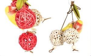 ybgpi    킢  CR IE  E   {[ [v Vv RN  x  `F[ ݂艺 Jt