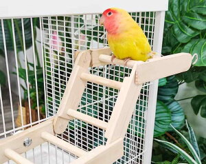 �y�b�g�p�i �������� ������ ������� ���킢�� �� �C���R �I�E�� ���� ���E�� �������� �ؐ� ���߉\ �܂肽���� �n�V�S �K�i �^�� �V���v�� �`