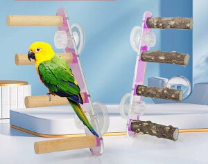 ybgpi    킢  CR IE  E  Jt Vv AN |[ z ܌ ^ Ki ؐ NC~O nVS