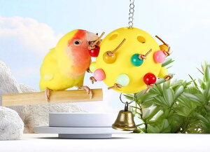 ybgpi    킢  CR IE  E   Jt {[ ݂艺 x  