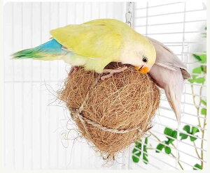 ybgpi    킢  CR IE  E   RRibc {[ XgX  Vv ݂艺