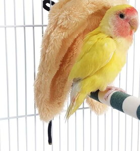 ybgpi    킢  CR IE  E  NbV uPbg  H~ V[ ӂӂ g ۉ Vv