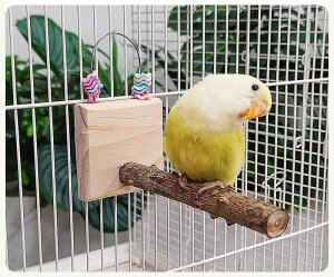 ybgpi    킢  CR IE  E  m  ؐ ~܂ Vv Jt r[Y