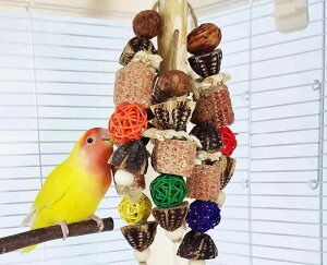 ybgpi    킢  CR IE  E   XgX  Jt Vv {[ ؐ  ݂艺