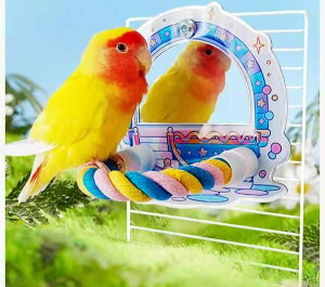 ybgpi    킢  CR IE  E  ~[  X^h ԕ Jt [v ~܂ CXg