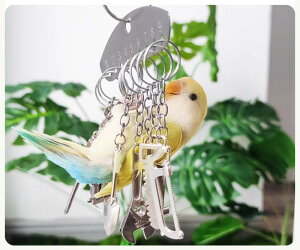 ybgpi    킢  CR IE  E  L[z_[  ݂艺 Vv H  I 